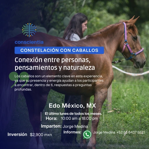 Constelaciones con Caballos